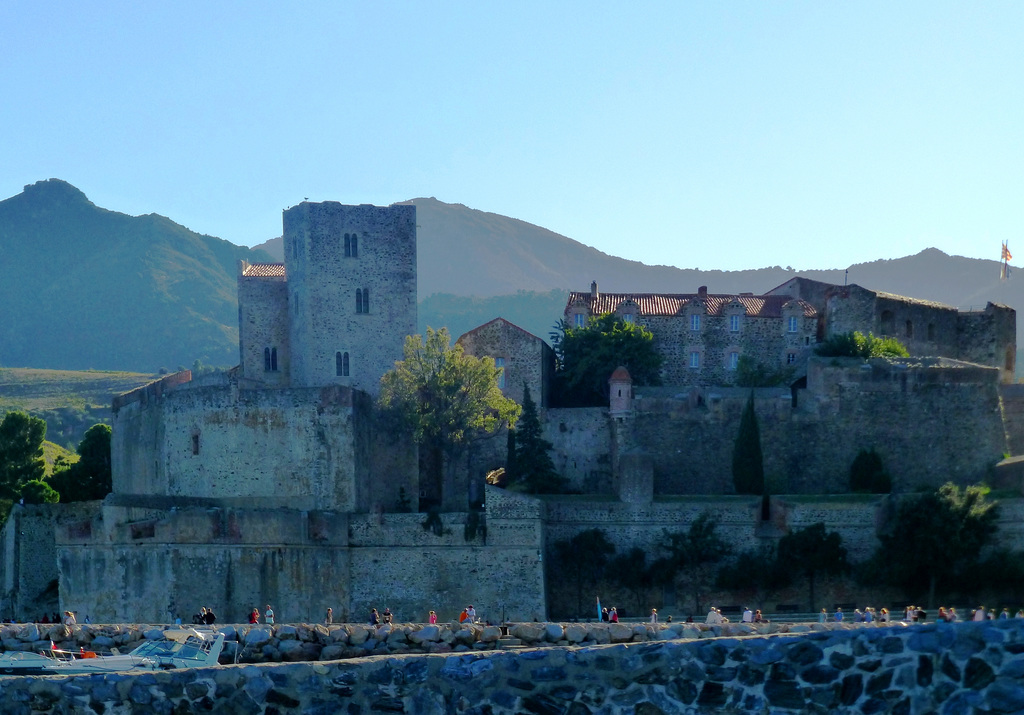 FR - Collioure - Château Royal