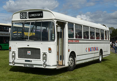 Stonham Barns 'The Big Bus Show' - 13 Aug 2023 (P1160033)