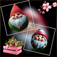 Gartenzwerge ❥ ❤