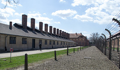Poland Auschwitz (#2322)