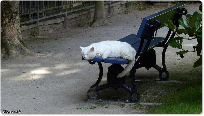 ANGERS parc de l'arborétum