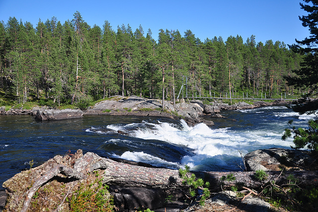 Pieteålven