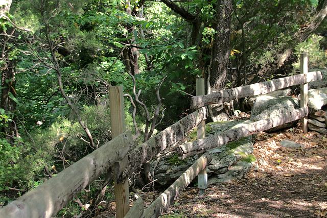 A Fence for Friday