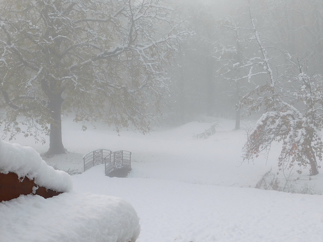 Hiver au parc depuis ma chambre************en 2019