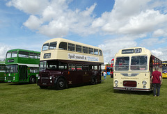 Stonham Barns 'The Big Bus Show' - 13 Aug 2023 (P1160034)