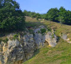 Metten berg quarry