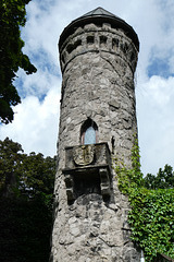 155-P1060901-PiP