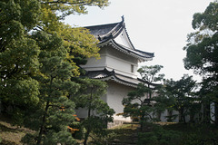 Nijo (Kyoto Castle O20-01