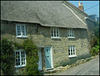 Dorset cottages