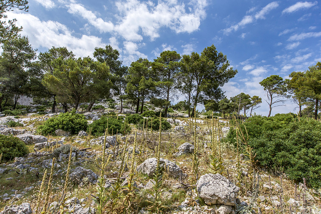 Grebastica - Croazia