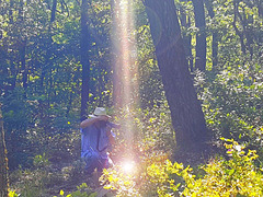 Photographe inspiré par la lumière divine