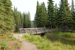Alaska, Wooden Bridge across Horseshoe Creek