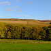 Blackshaw Farm to Swineshaw Reservoir