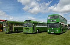Stonham Barns 'The Big Bus Show' - 13 Aug 2023 (P1160035)