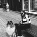 20250502_Wernigerode Spaziergang