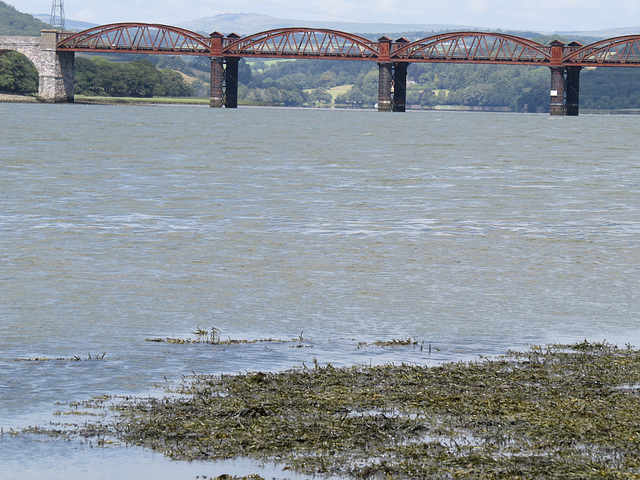 tavy rail bridge from warleigh point, devon