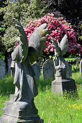 teddington cemetery, london