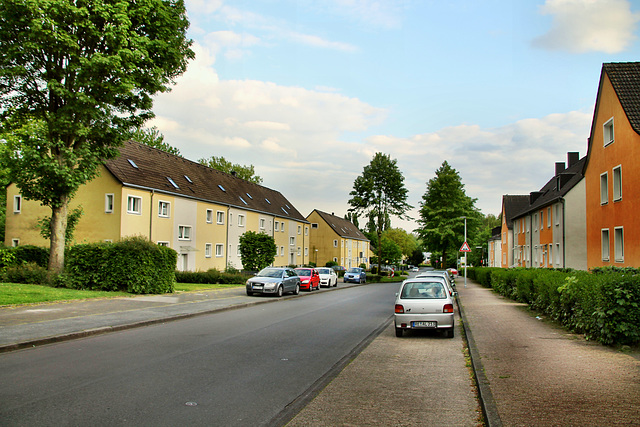 Im Buschkamp (Oer-Erkenschwick) / 12.05.2020