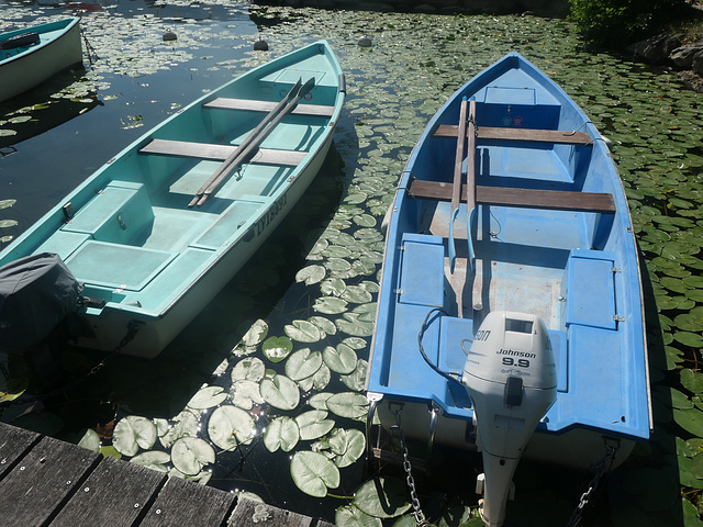 Les barques bleues .