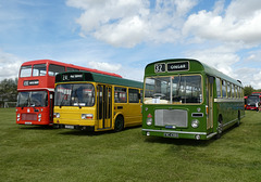 Stonham Barns 'The Big Bus Show' - 13 Aug 2023 (P1160036)