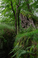 Auf dem Ernstberg in Hinterweiler in der Eifel