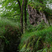 Auf dem Ernstberg in Hinterweiler in der Eifel