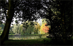 L'automne est là...