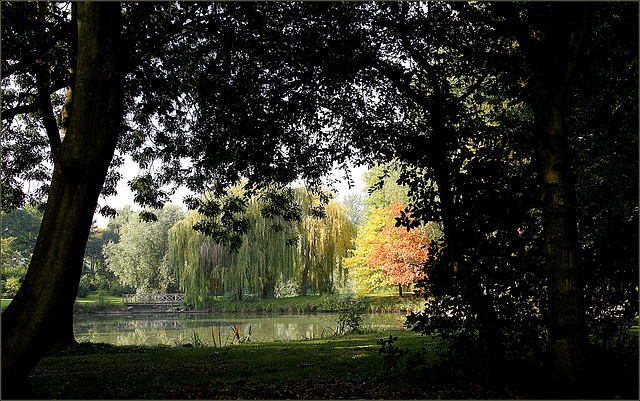 L'automne est là...