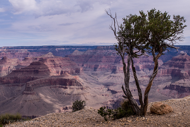 GrandCanyon