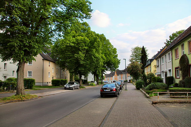 Im Buschkamp (Oer-Erkenschwick) / 12.05.2020