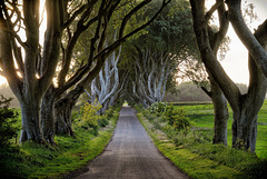 County Antrim: Journey down the Dark Hedges