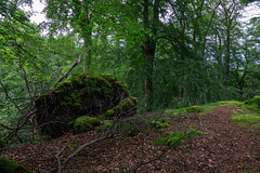 Auf dem Ernstberg in Hinterweiler in der Eifel