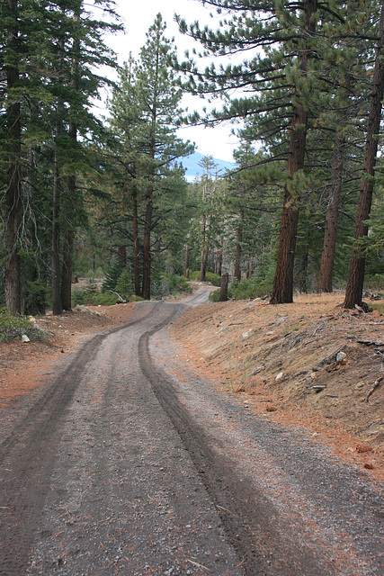 Trail to Star Lake