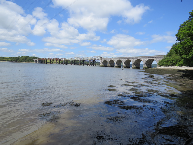 tavy rail bridge from warleigh point, devon