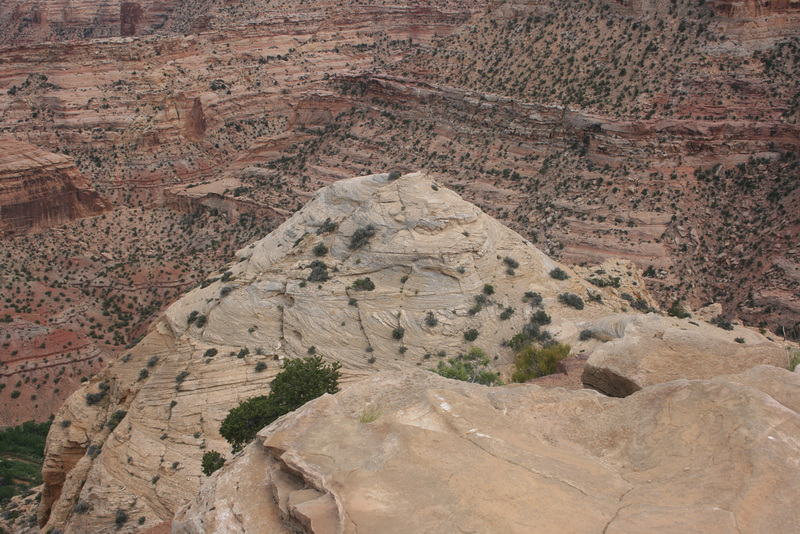 IMG 7628