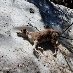 20190804 141417 001 20190804 141417 001