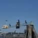 Three cormorant amigos, Göteborg harbour