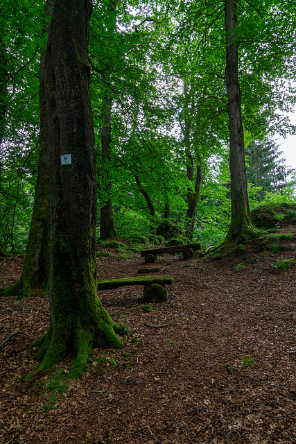 Auf dem Ernstberg in Hinterweiler in der Eifel