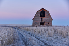 Sunrise, First Frost