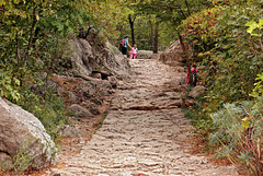 Nationalpark Paklenica - Beim Brunnen im Wäldchen