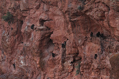 Gelada on the cliffs - near the Erar Community Guesthouse