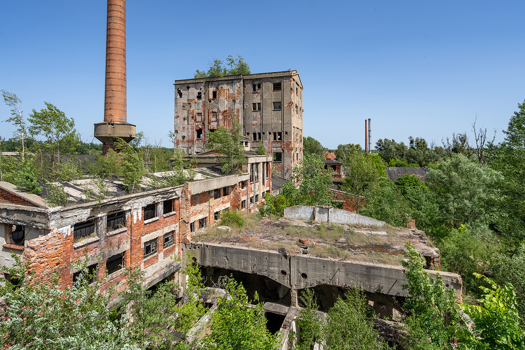 Cellulose Factory - nature strikes back