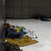 SDF / Homeless