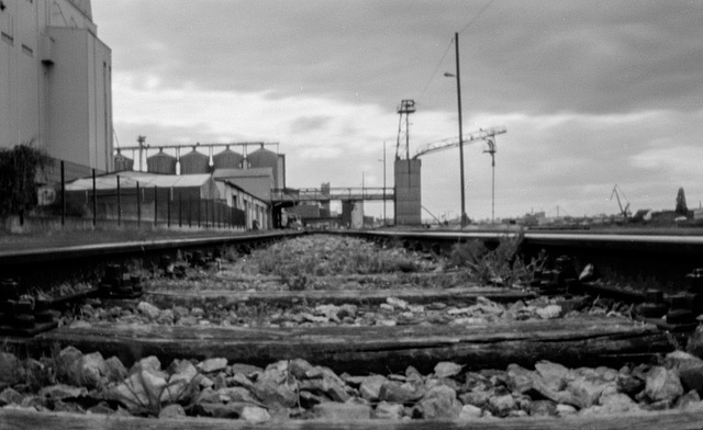 Friesenheimer Insel Hafen