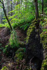 Auf dem Ernstberg in Hinterweiler in der Eifel