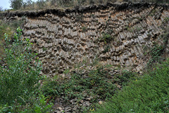 Orgues basaltiques sur les côteaux de Mégemont