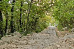 Nationalpark Paklenica - Schattiger Aufstieg