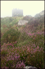 Foggy day on Carn Brae