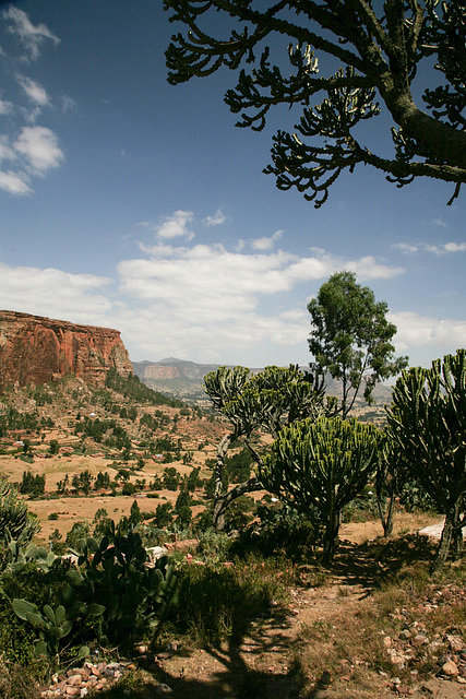 Erar to Shimbrety trek - farms