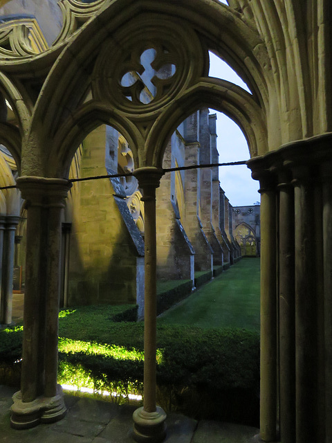 salisbury cathedral c13 cloisters c (2)